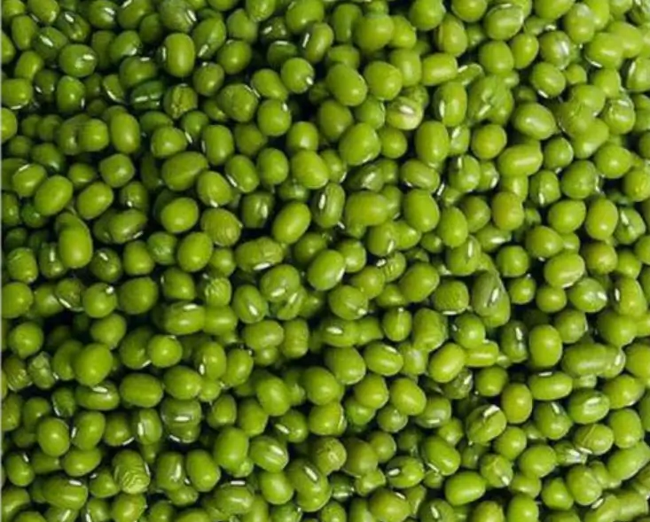 Mung Beans Farm2pesa