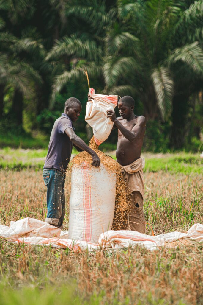 Our impact farm2pesa